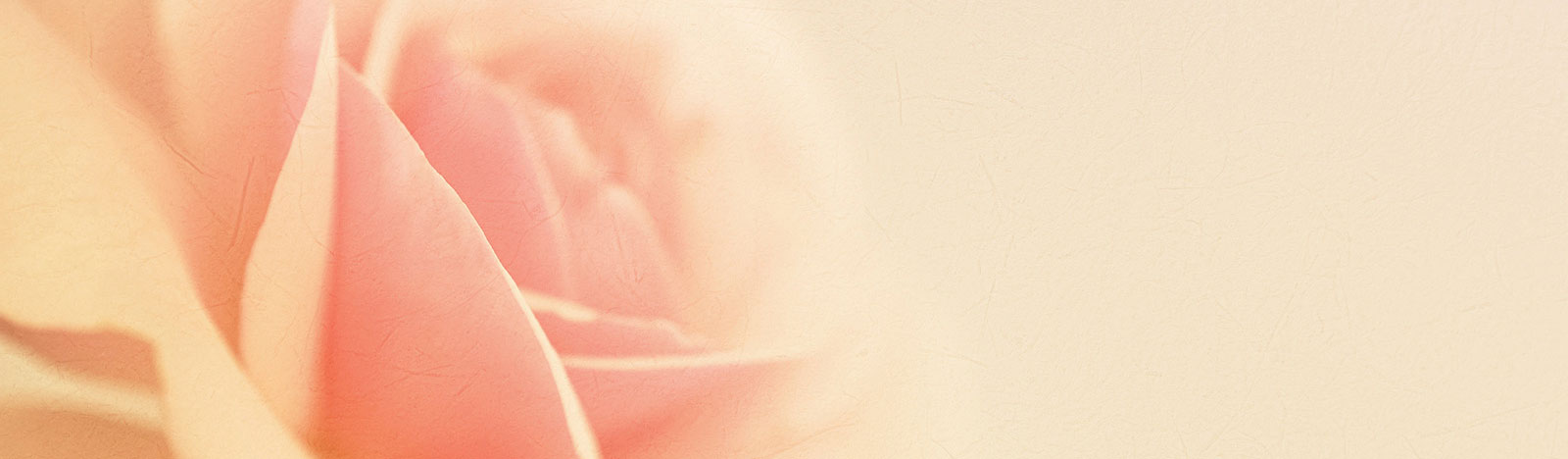 Our blog header